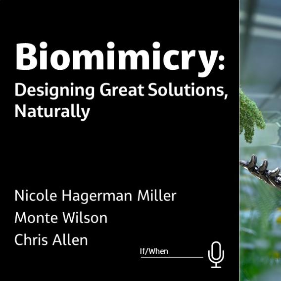 Biomimicry: Designing Great Solutions, Naturally 