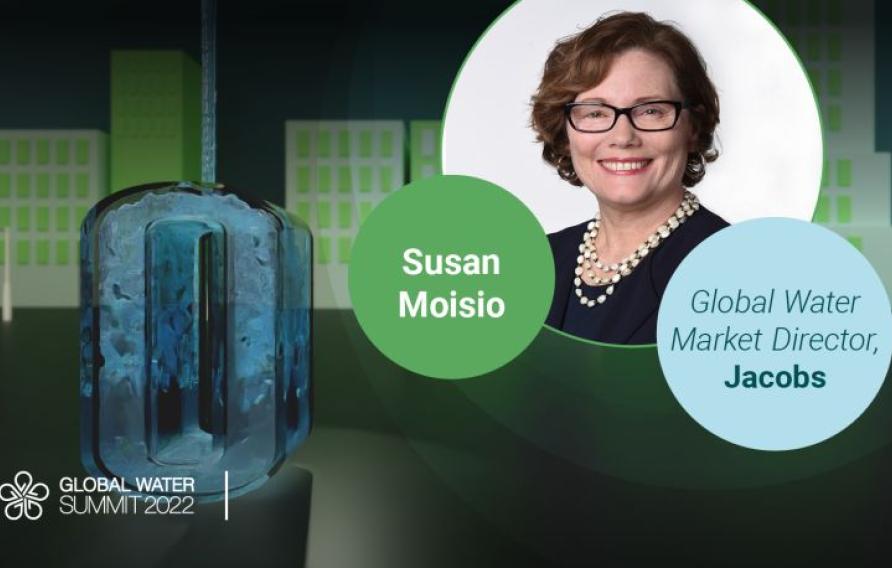 Susan Moisio headshot with Global Water Summit banner