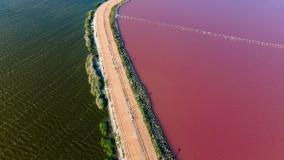 pink lake sasik sivash divided by a road in summer