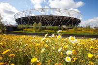 London Olympic Games stadium