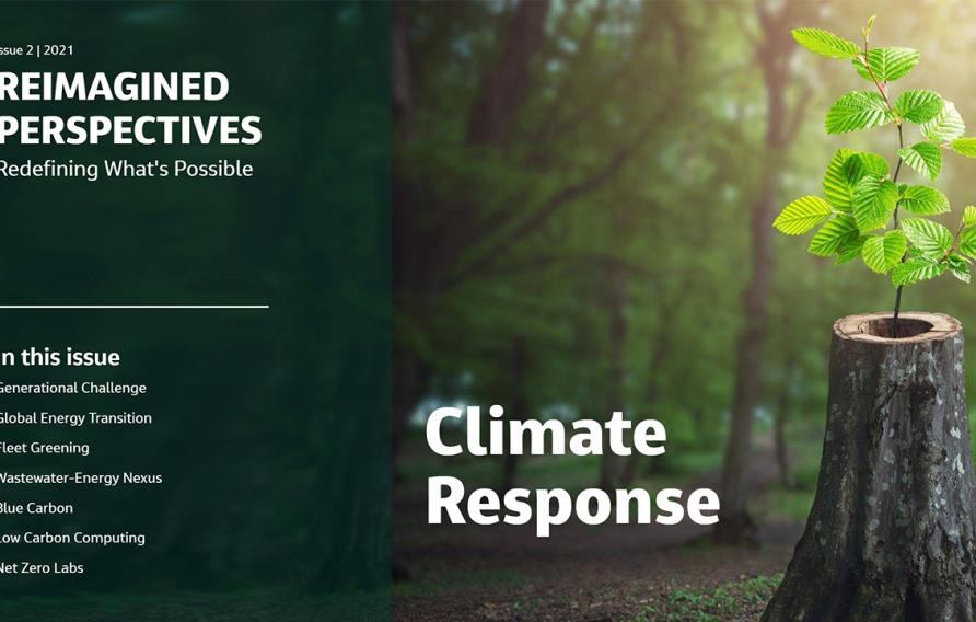 Reimagined Perspectives: Climate Response